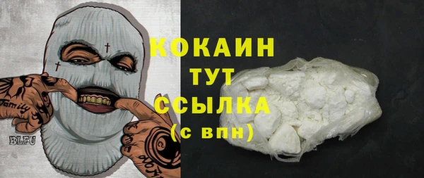 гидра Лиски
