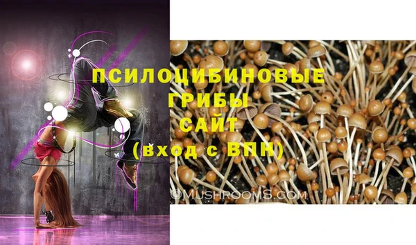 гидра Лиски