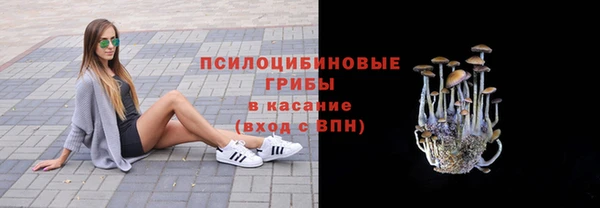 гидра Лиски