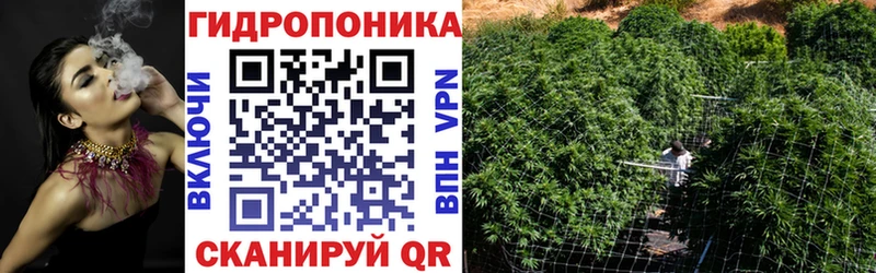что такое   Куса  ОМГ ОМГ   МАРИХУАНА сатива 